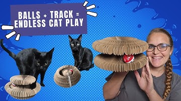 This Foldable Cat Scratcher Might Be Your Cat’s New Obsession!