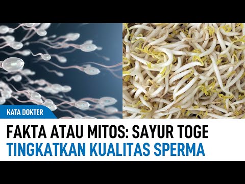 Anal jinsiy aloqa bilan tualet pornosi Ommaviy joyda dumba vilkasi bilan