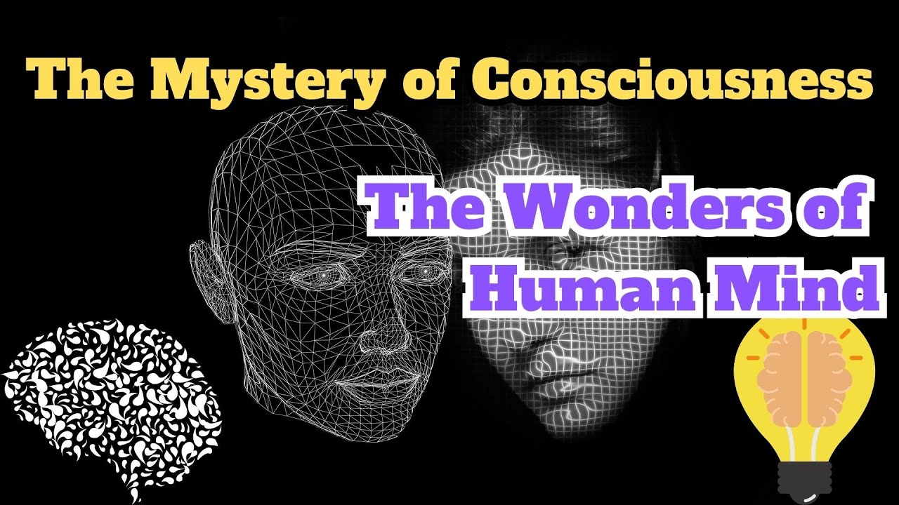 The Mystery of Consciousness | Exploring the Wonders of the Human Mind ...