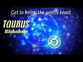 Taurus rishabam in vedic astrology