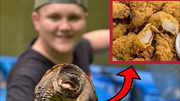 Catching DINOSAUR snapping turtles in my pond! (Catch Clean Cook)