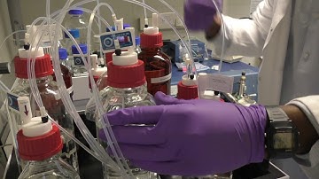 Selective Comprehensive 2D-LC-MS