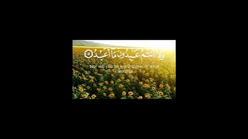 سورة الكافرون القارئ محمد اللحيدان #اكسبلور #لايك #quran