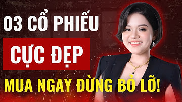 CHÚ Ý: 3 Cổ Phiếu Cho Điểm Mua Cực Đẹp - Mua Ngay Đừng Bỏ Lỡ!