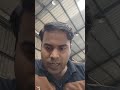 Live highlight