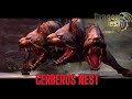 NEST CERBERUS NORMAL - DRAGON NEST REBIRTH OF LEGEND ANDROID #dragonnest #gameplay