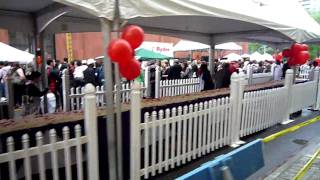 Huge 60-Feet Long Cake At The Strawberry Festival In Nyc