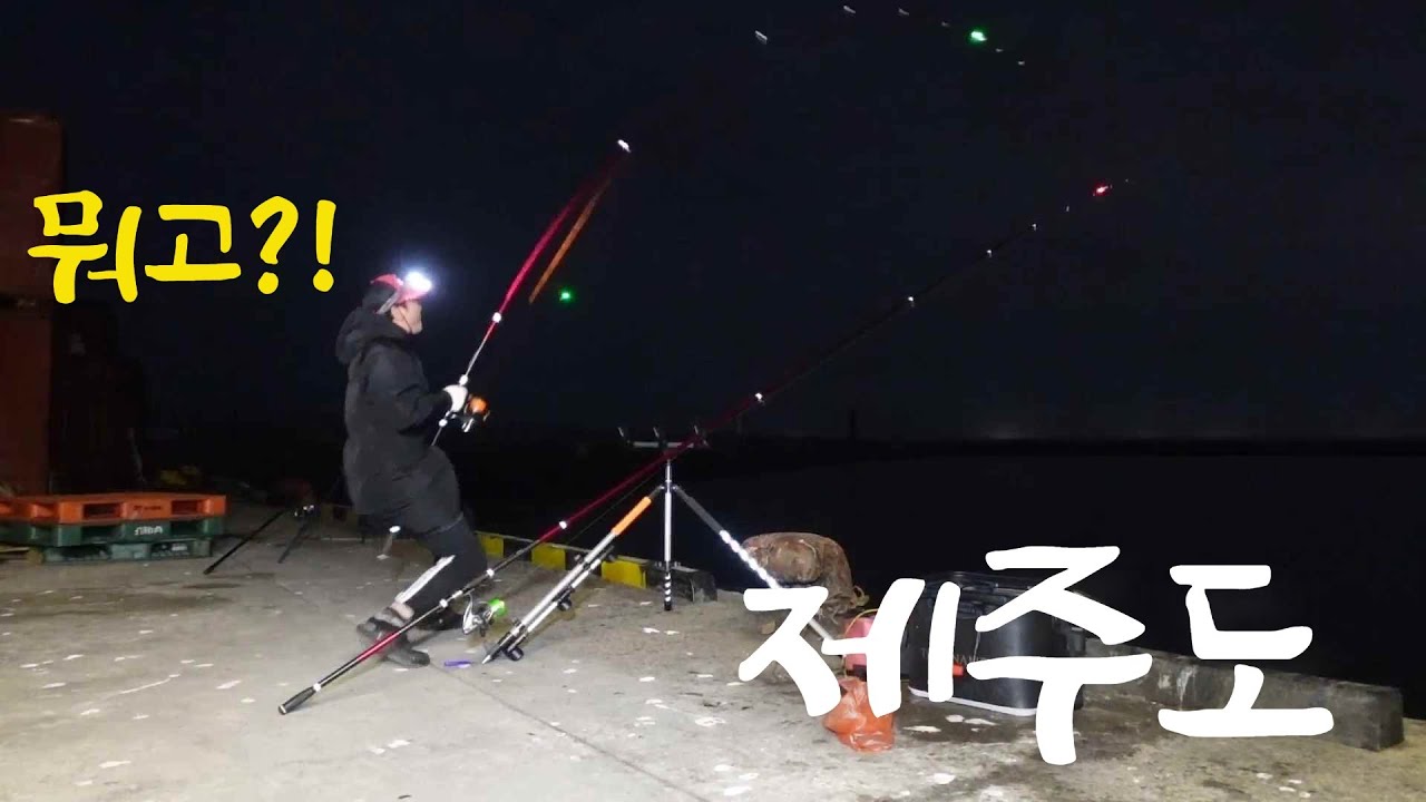 제주도 원투낚시  확실히 고기 나오는곳