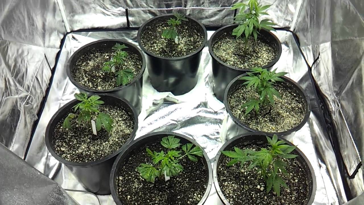 Start of season 2 & shout outs