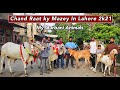 Bakra Eid Ki Chand Rat K Mazey in Lahore 2021| MY Qurbani Animals Bakra Eid 2021| Cattle Of Pakistan