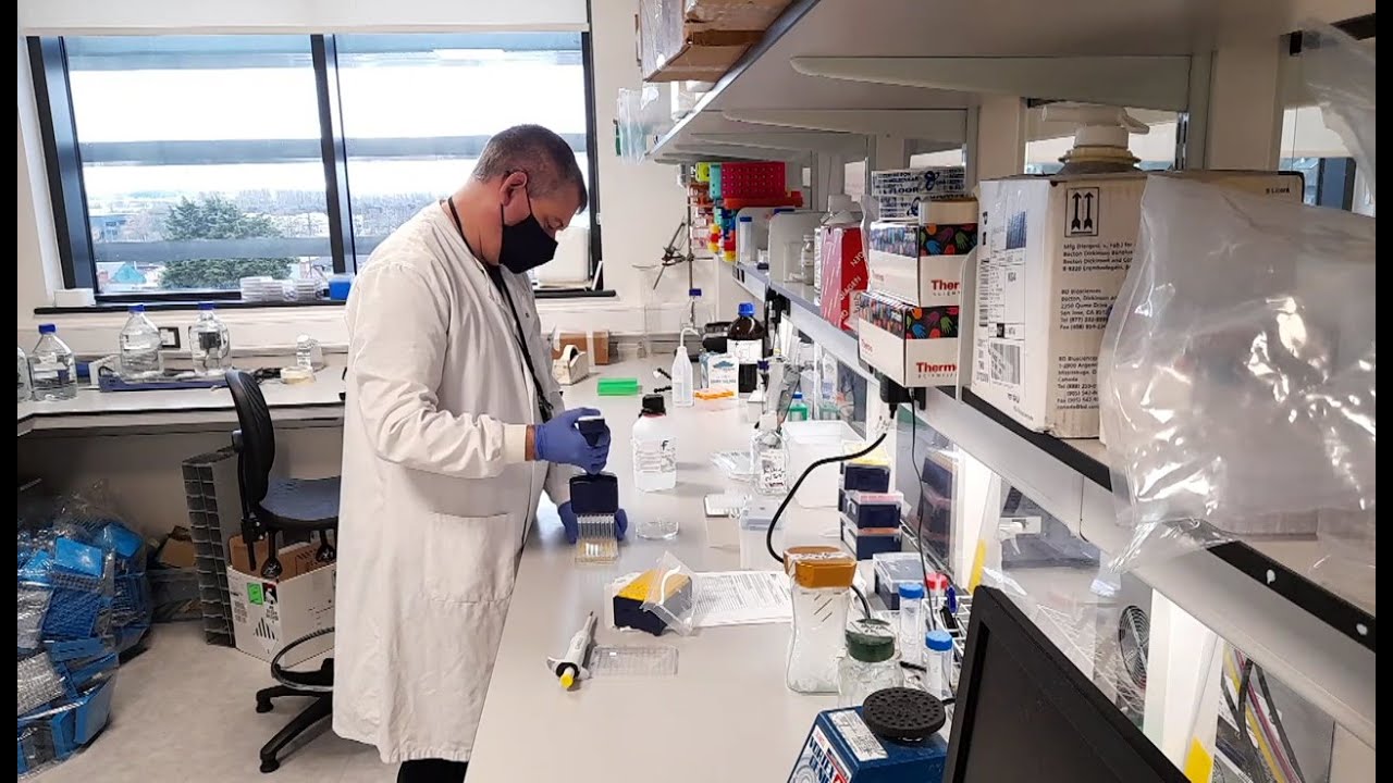 AJ World 21_03_2021 - الأحد 21:30