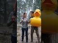 Raining 🌧 in the forest