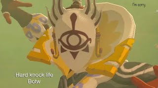 Hard knock life BOTW (I’m sorry I had to)