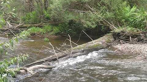 Australian Alps Walking Track