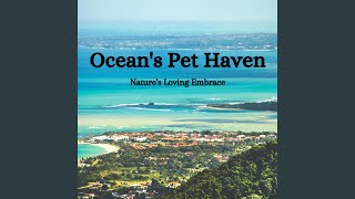 Harmonic Waves of Pet Bliss