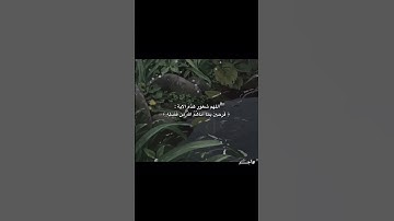 اجر لي ولكم #قران كريم #استغفر الله #اكسبلور