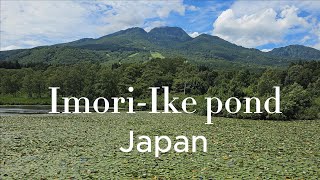 Imori-Ike Pond Japan The Den Week Holiday Period. One Of The Most Scenic Places In Myoko Kogen.