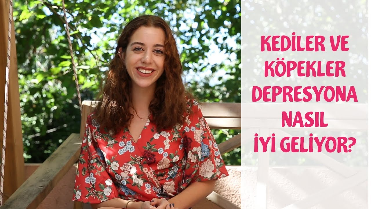 Kedi Ve Kopekler Depresyona Nasil Iyi Geliyor Youtube