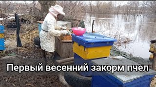 ПЧЕЛОВОДСТВО С НУЛЯ. Весенняя очистка ульев и закорм пчел в северном регионе России