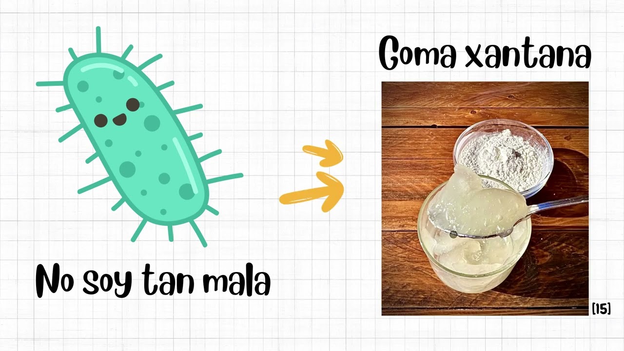 Xanthomonas campestris (goma xantana)