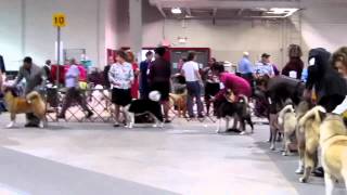 3242012 Raleigh Girls Open Part2