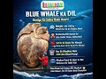 The Heart of the Blue Whale – Nature’s Biggest Engine #shorts #YouTube #Viral #Trending #facts