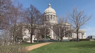 How Missouri Amendment 3 could change the lawmaker representing you