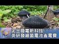 泥土發電新科技!英研發細菌電池省電費｜吳姝叡｜FOCUS全球新聞 20260625 @TVBSNEWS01