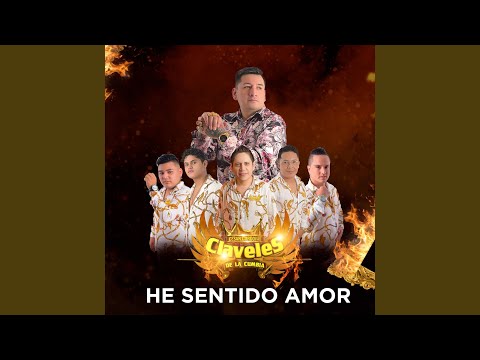 Putar No Vuelvo Amar - Claveles De La Cumbia
