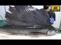 秋の到来を告げる秋太郎！凄腕仲買人による巨大魚バショウカジキの捌き方