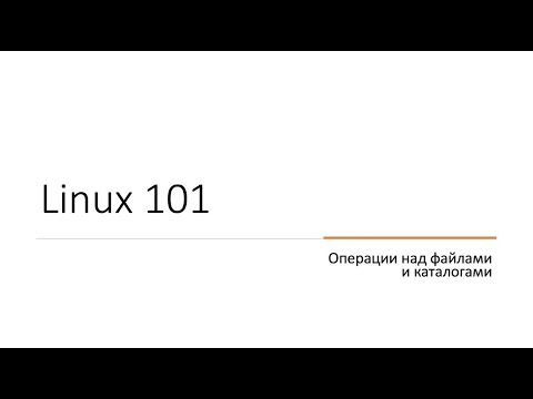 #2 Операции над файлами и каталогами (touch, stat, mkdir, cp, mv, rm, rmdir) | Linux 101