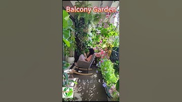 Cozy Balcony Garden Glow Up