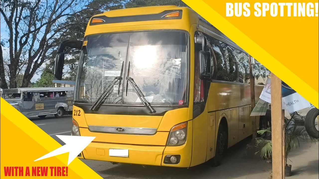 BUS SPOTTING IN LAGUNA (SPECIAL)