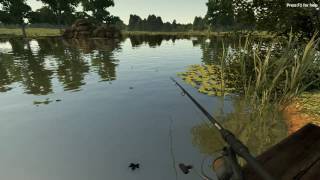Carp Fishing Simulator - Surface fishing screenshot 3