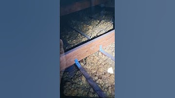 DAILY DOSE OF DEFECTS!! Unsupported roof and ceiling load. Dodgy renovations.