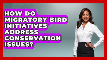 How Do Migratory Bird Initiatives Address Conservation Issues? | Bird Watching Diaries