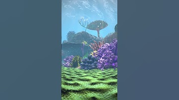 Finding Nemo VR Test