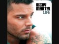 Ricky Martain Life I Won T Desert You Wmv mp3