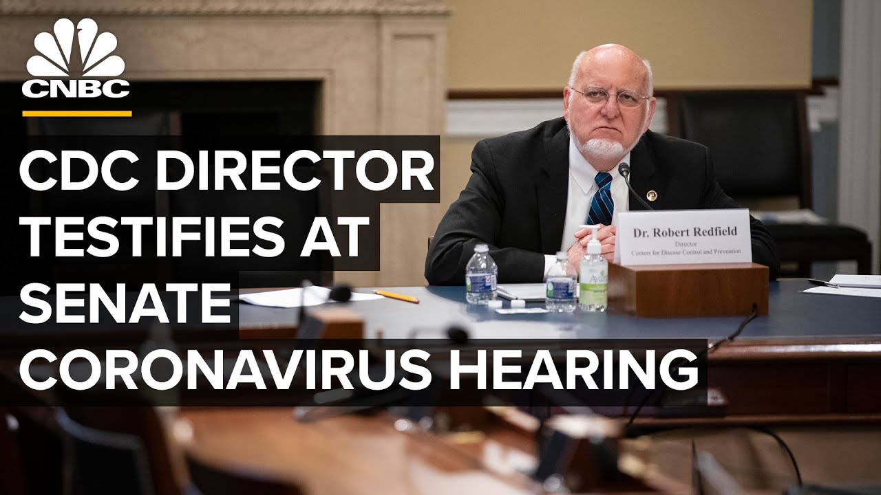 Serene Cdc Hearing News Today Capture Illustration Serene Cdc Hearing News Today Capture Illustration