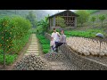 Independent Farm Life | Building Natural Stone Walls & Raising Ducks Off-Grid