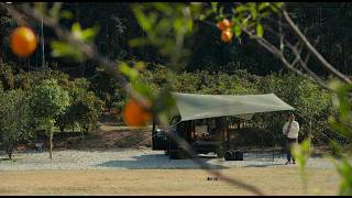 17min Orange Grove Riverside Ambience | Silent Camping with Firelit Soup
