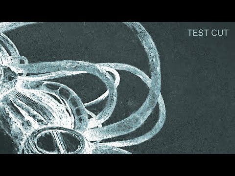 SCB - Test Tubes (Mind Against Celestial Dub)