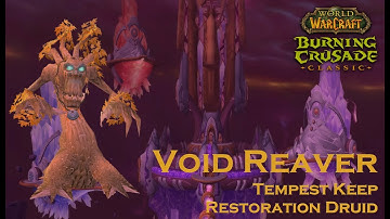 [Classic TBC] TK Void Reaver - Resto druid POV