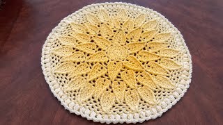 Gorgeous Doily Detailed Tutorial with 1 Ball of Gradient Yarn 