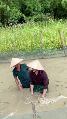 Khác biệt 1 năm vs. 5 năm ở Việt Nam: Bắt cá |#shorts