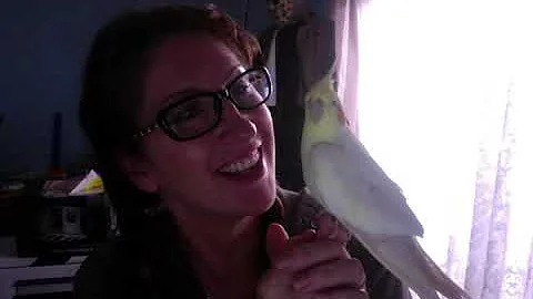 'Geraldine Our Cockateel want's to tell You someth...