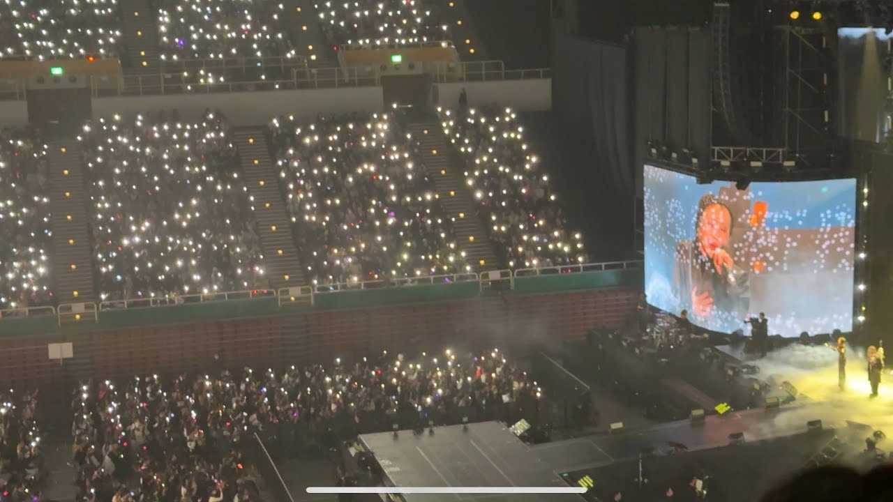 250208 2NE1 | Lonely（Concert Phone Lights) | [WELCOME BACK] IN TAIPEI ...