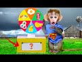 Spinning The Wheel With BiBo Baby Monkey Animals | Animals Home Monkey