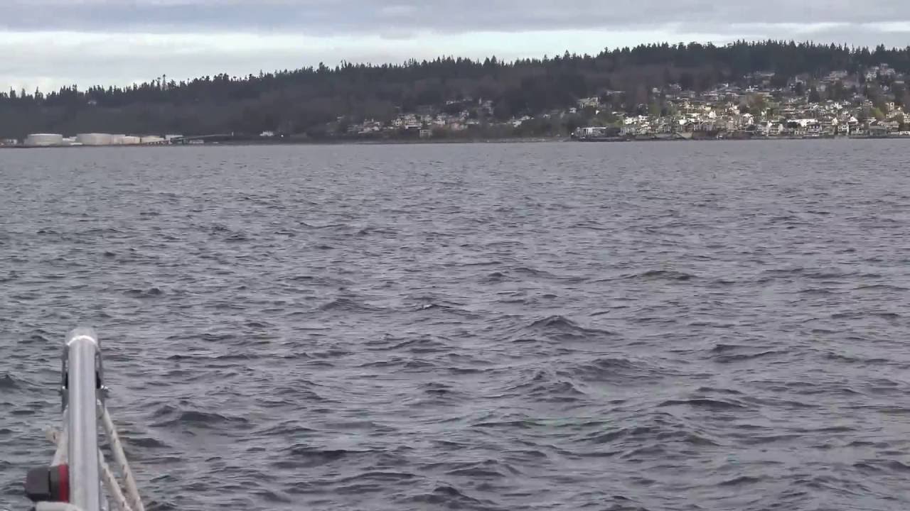 Monday Part II Tank Farms & Orcas