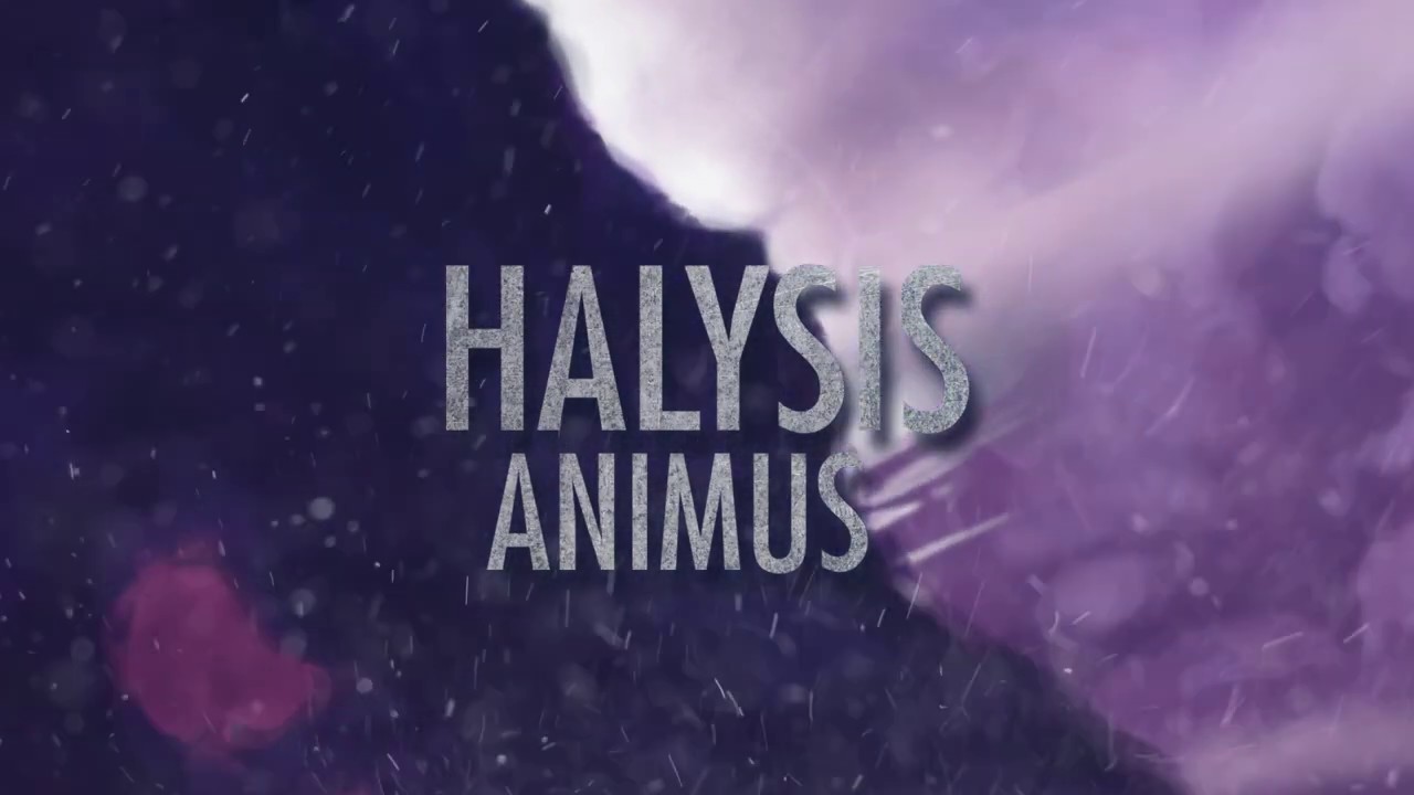 HALYSIS - Animus (OFFICIAL LYRIC VIDEO)